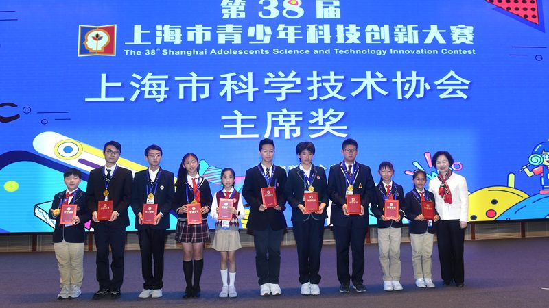 动态数据可视化的关键技术实现路径
