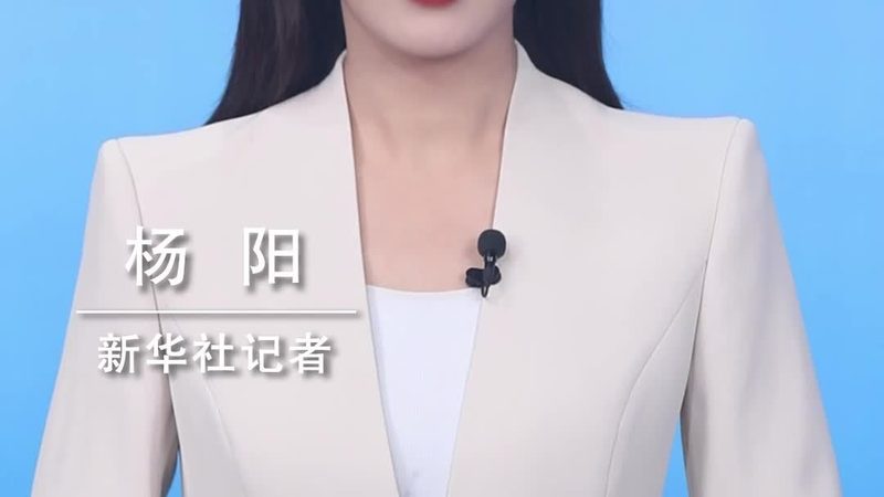 人工智能应用新篇章：深度解析最新安装案例**